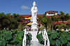 Hương Vị Cuộc Đời